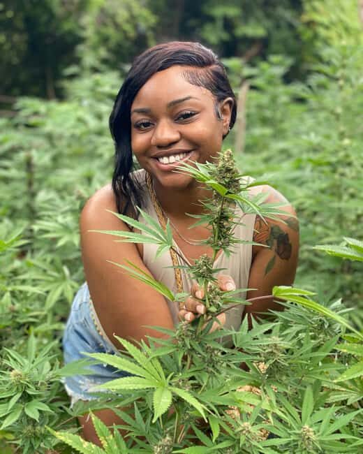 Montego Bay Marijuana Farm Tour - Who Will Enjoy This Tour?