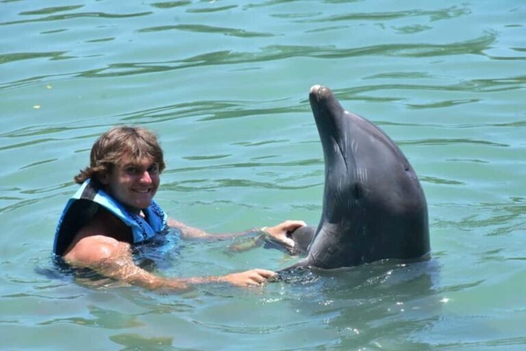 Montego Bay: Swim With The Dolphins Adventure in Lucea - The Itinerary Breakdown