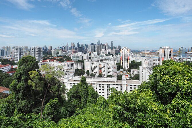 Mount Faber, Henderson Waves and Southern Ridges Tour - Practical Tips for Participants