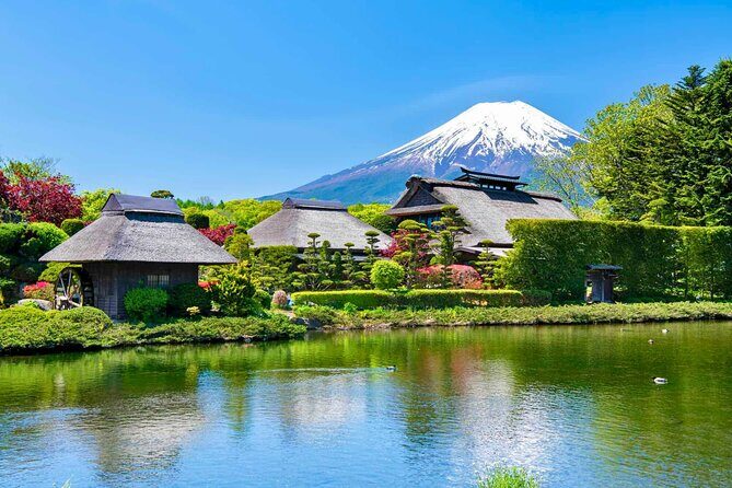 Mount Fuji Private Custom Tour with Local English Speaking Guide - The Charm of Oishi Park
