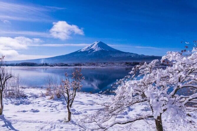 Mt. Fuji Day Tour from Shinjuku in Tokyo Japan - FAQs