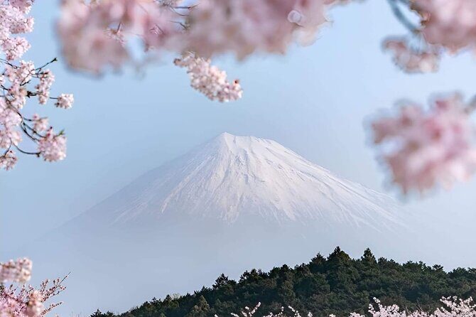 Mt Fuji Private Tour with English speaking driver - Practical Details and What Travelers Can Expect