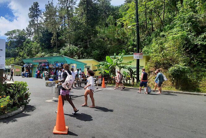 Mud bath and Waterfall with Snorkeling at Sugar beach - Why This Tour Works Well