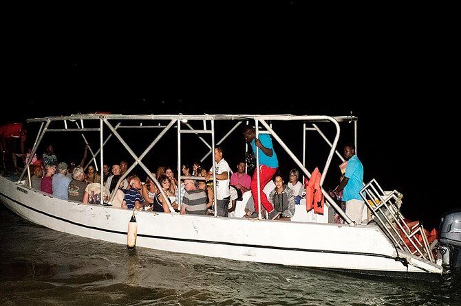 Mystic Lagoon Guided Boat Ride and Swim - Who Will Love This Tour?