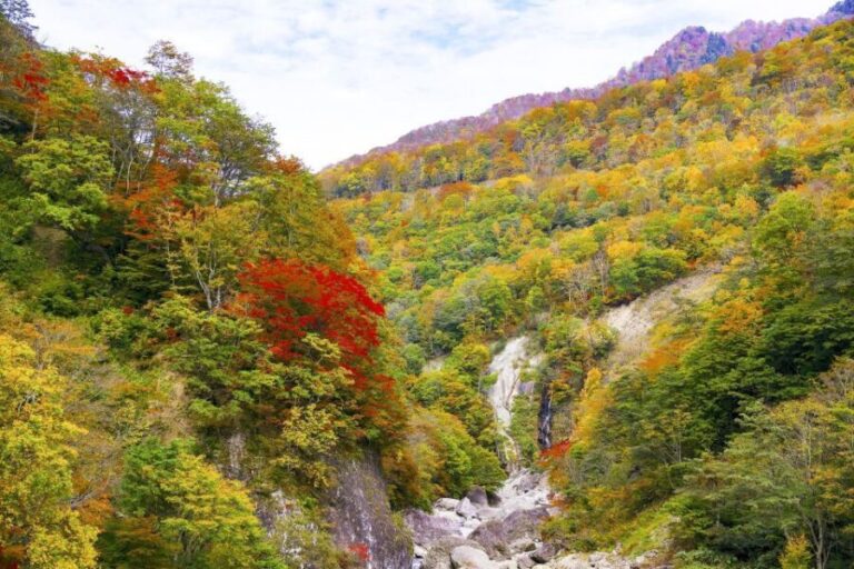 Nagano: Private Walking Tour with a Local - Who Will Love This Tour?