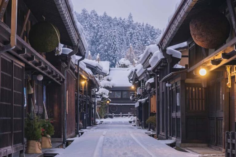 Nagoya: Shirakawa-go, Gujo, Hida Takayama Historic Day Tour - What Travelers Say: Authentic Perspectives