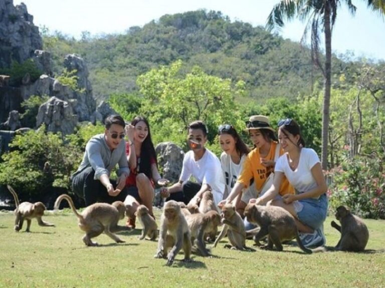 Nha Trang: Entry Ticket to Monkey Island - The Realities: Pros and Cons