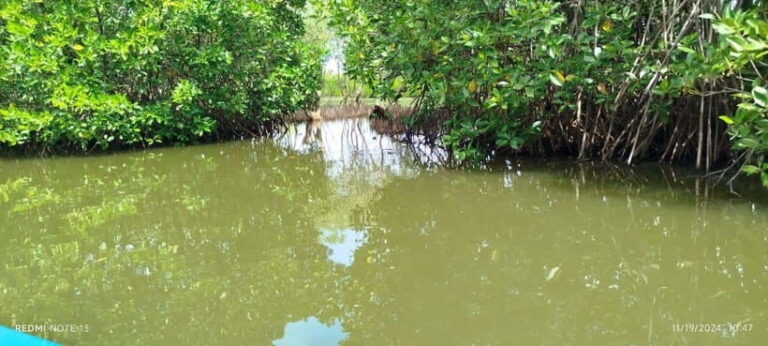 Nilaveli: Lagoon Boat Safari with Mangrove Exploration - What to Expect on the Tour