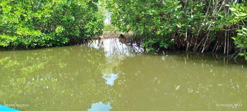 Nilaveli: Lagoon Boat Safari with Mangrove Exploration - What to Expect on the Tour