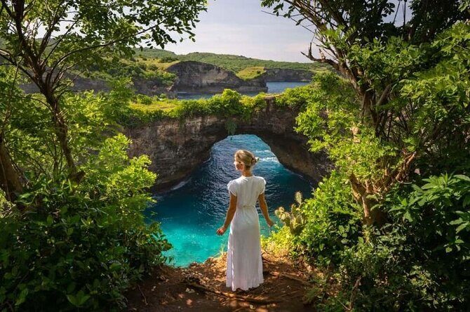 Nusa Penida Private Day Trip with Driver - Transport, Duration, and Value