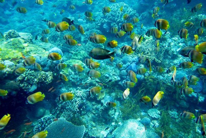 Nusa penida private senorkeling with Manta - Final Thoughts