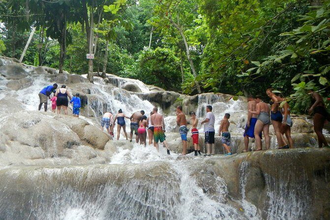 Ocho Rios Day Tour 3 in 1 Combo - Is This Tour Worth Its Price?