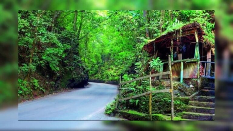 Ocho Rios: Guided Sightseeing Tour - What Travelers Say