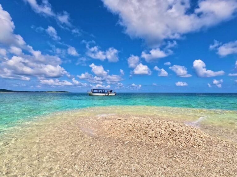 Okinawa Iriomotejima Night Adventure Tour - What to Expect: A Breakdown of the Tour