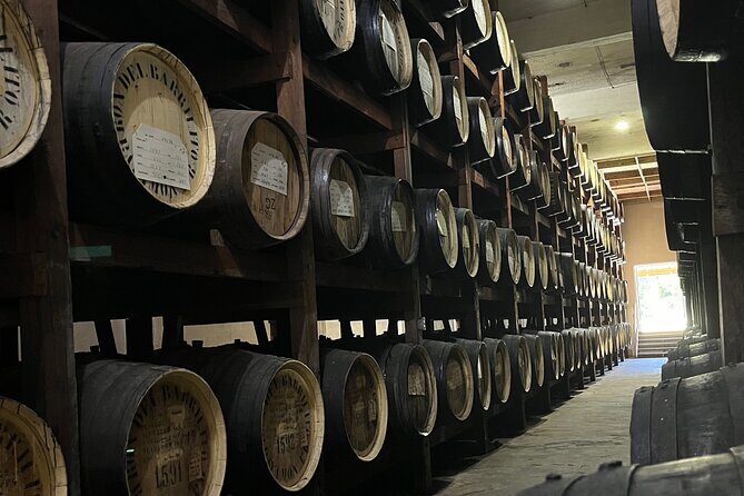 Old San Juan Private Tour with Barrilito Rum Experience - What’s Included and What to Expect
