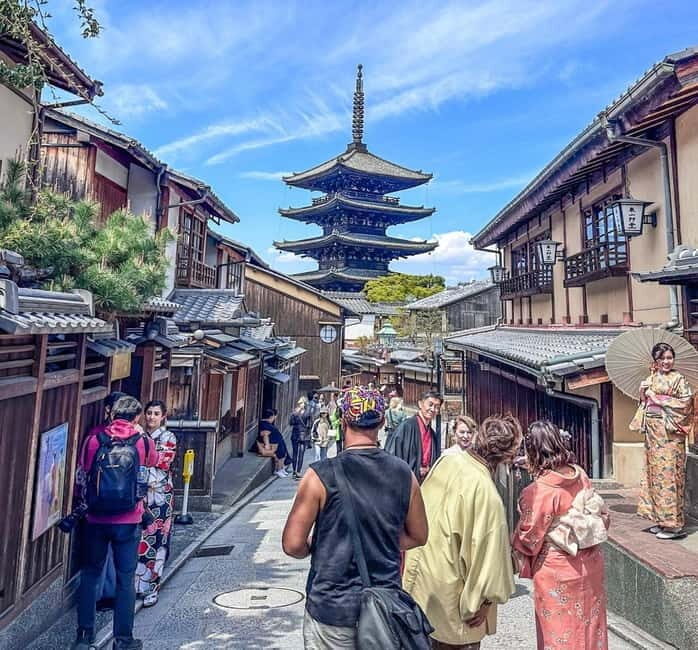 Osaka/Kyoto/Nara: Private Full-Day Sightseeing Tour - Who Will Get the Most from This Tour?