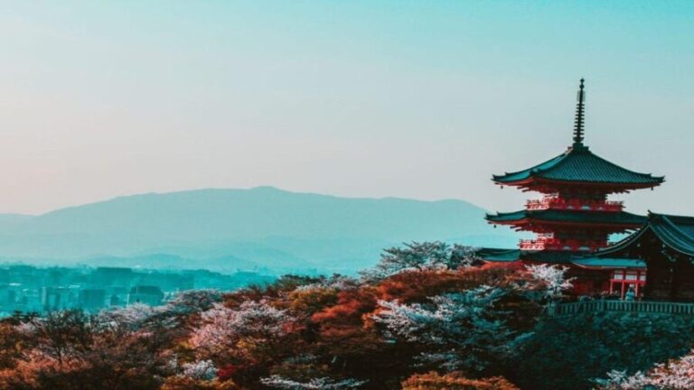 Osaka : Must-see & Hidden Gems Walking Tour - A close look at the Osaka: Must-see & Hidden Gems Walking Tour