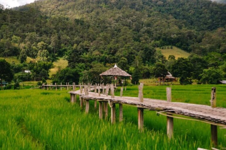 Pai: Bamboo Bridge, Yun Lai Viewpoint, & Waterfall Tour - The Experience in Practice