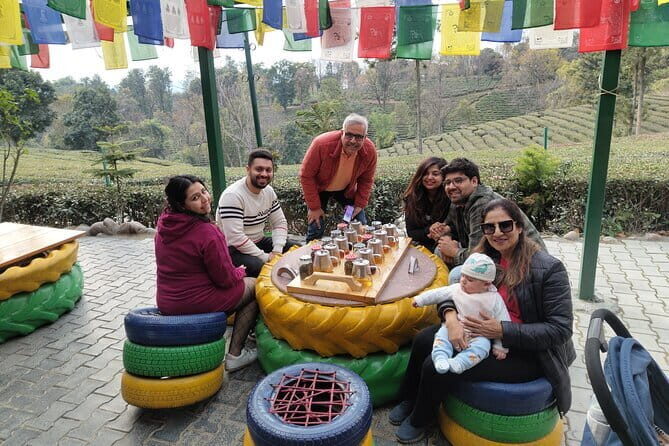 Palampur Tea Garden Tour - What We Love About the Tour