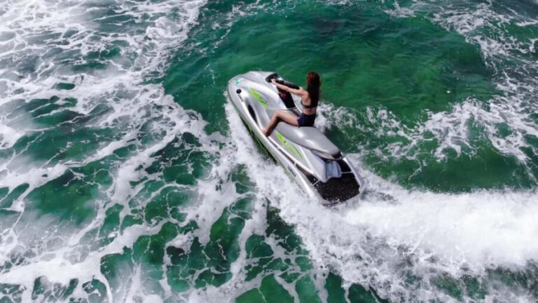 Pattaya Island Trip with Indian Lunch & Flexible Pickup Time - The Itinerary in Detail