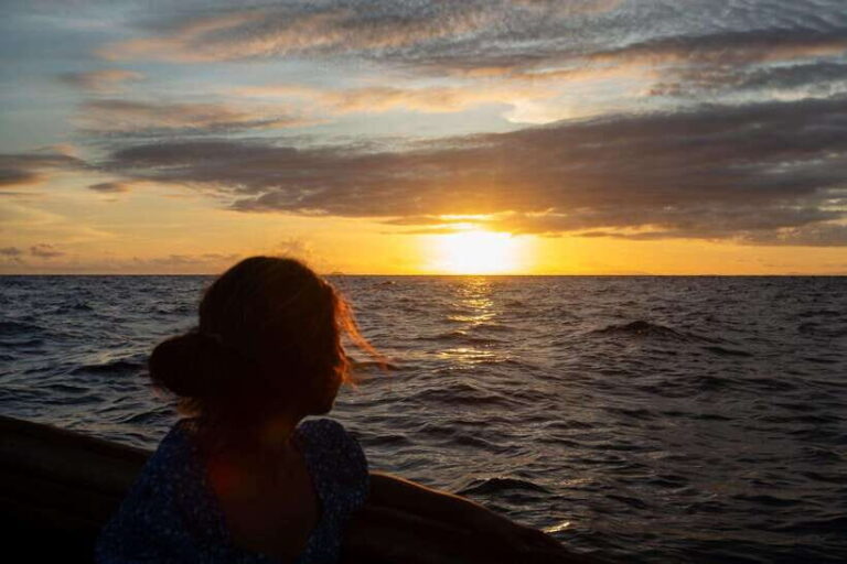 Phi Phi Island: Maya bay Sunset & Plankton by Speedboat - The Bottom Line: Who Is This Tour Best For?