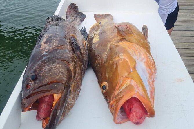 Private 1/2 Day Afternoon Bottom Fishing Charter on "Shady Grady" - Detailed Breakdown of the Itinerary