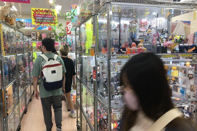 Private Akihabara Anime Guided Walking Tour - The Cost and Value Proposition
