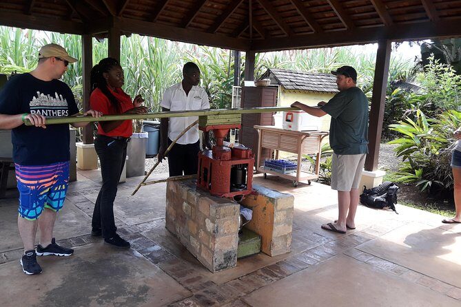 Private Appleton Estate Rum and Pelican Bar Tour from Montego Bay - Practical Details and What Makes This Tour Valuable
