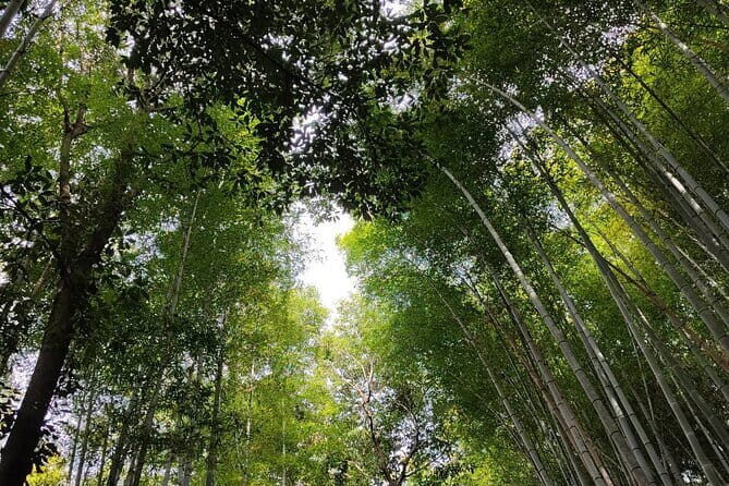 Private Customized Walking in Tour Kyoto - A Closer Look at the Itinerary