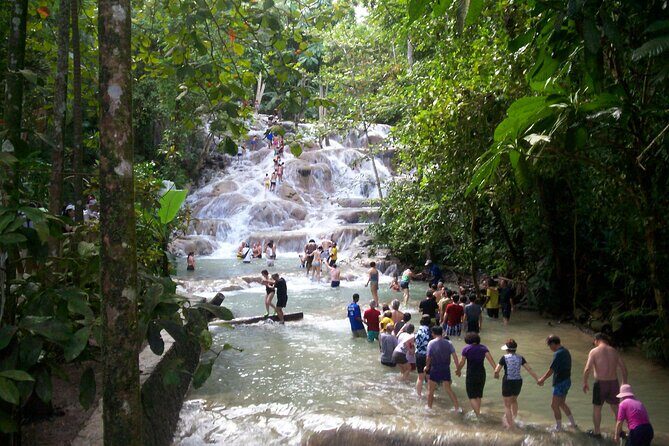 Private Dunn's River Falls Adventure from Montego Bay - Authentic Experiences & Reviewer Insights