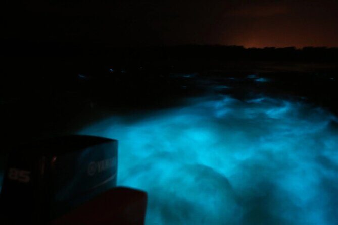Private Guided Night Tour of Luminous Lagoon in Montego Bay - The Sum Up