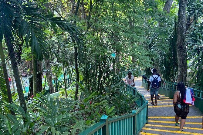 Private Horseback Riding, Swimming and Dunn's River Falls Tour - Who Will Enjoy This Tour?