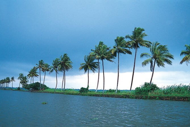 Private Houseboat Backwater Day Cruise tour with Lunch from Cochin - Insights from Reviews: Authentic Feedback