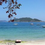 Private Nha Trang City Tour from Cruise Port - Who Is This Tour Perfect For?