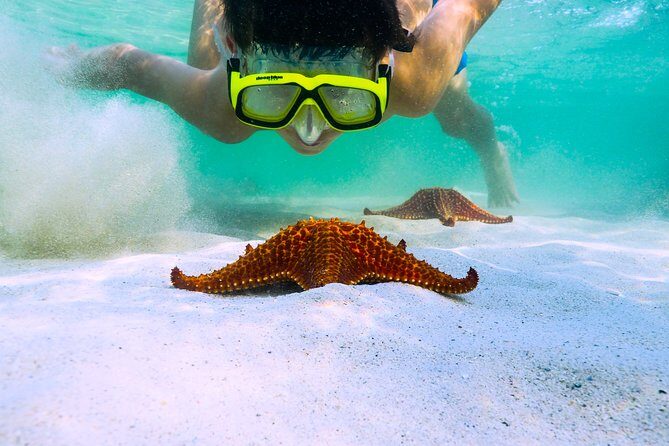 Private Stingray City Snorkeling and BioBay Charter for 10 Guests - The Sum Up