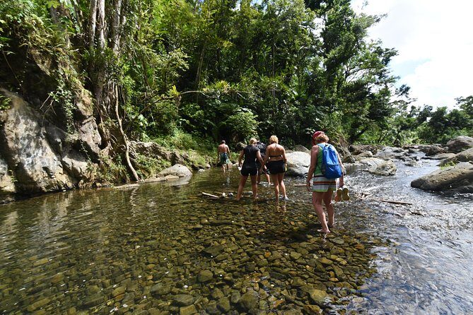 Private Tour of El Yunque Rainforest from San Juan - The Itinerary Breakdown: What You’ll Experience