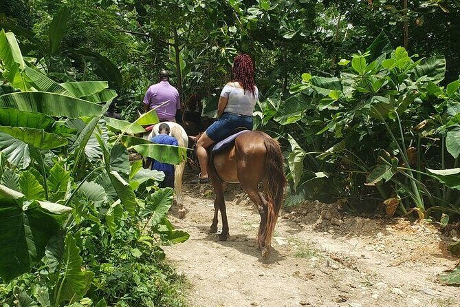 Private Tour to Dunns River and Horseback Riding with Local Guide - Practical Details: Making the Most of Your Day