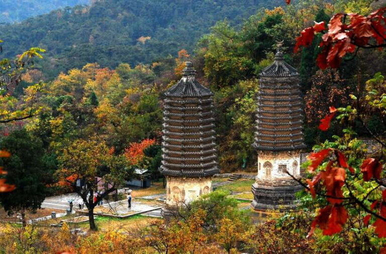 Private Tour to Yinshan Pagoda Forest w/Optional Activities - The Itinerary: What to Expect