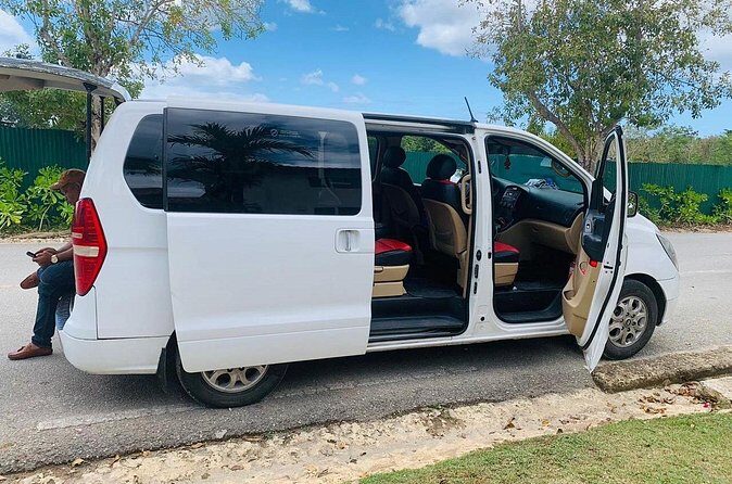 Private Transfer from Santo Domingo Airport to Bayahibe - Authentic Traveler Feedback