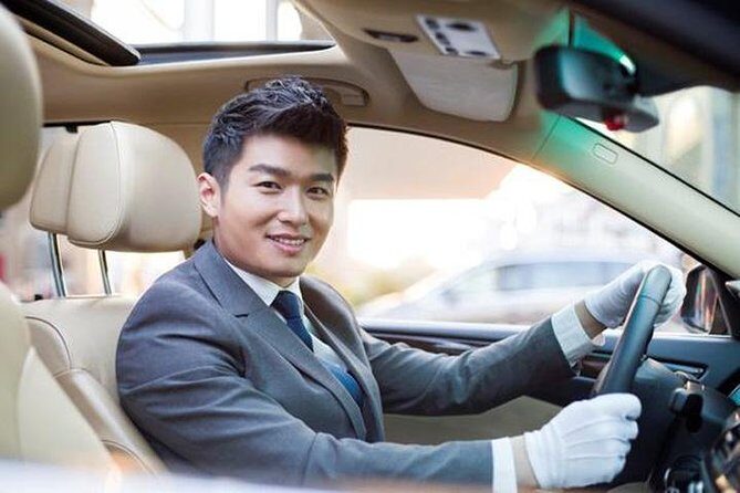 private transfer from Wusongkou CruisePort to Disneyland and back - Who Would Benefit Most from This Service?