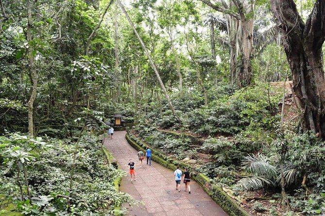 Private Ubud Day Tour - What’s Included & What’s Not