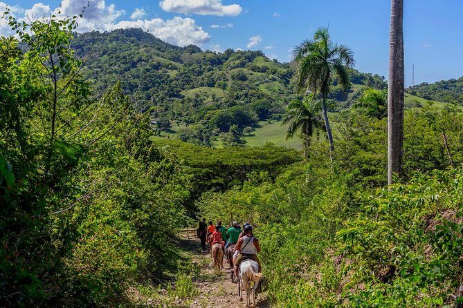 Puerto Plata: Damajagua waterfalls + Safari buggy + Horseback riding (TOP3IN1) - The Off-Road Buggy Experience