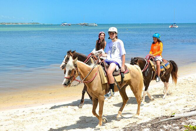 Punta Cana Horseback Riding Adventure - Authentic Experiences and Traveler Feedback