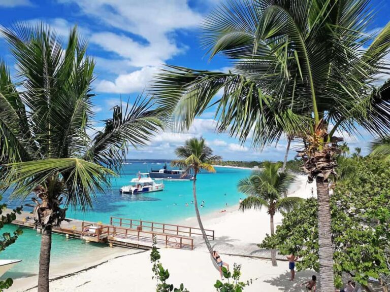 Punta Cana: Saona Island Day Tour and Catamaran Party - The Practical Side: What to Expect