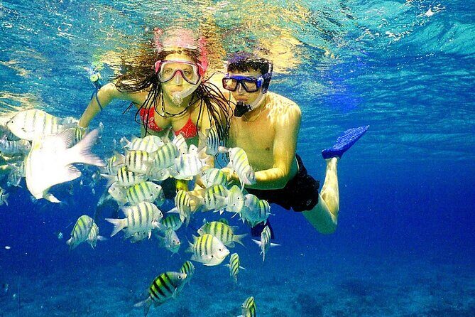 Punta Cana Speed Boat Tour and Snorkeling - Practical Details and What to Expect