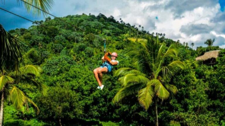 Rainforest Ziplining Adventure - The Experience from a Traveler’s Perspective