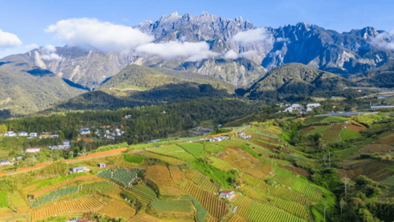 Sabah: Kundasang Nature Day Tour - Who Should Consider This Tour?