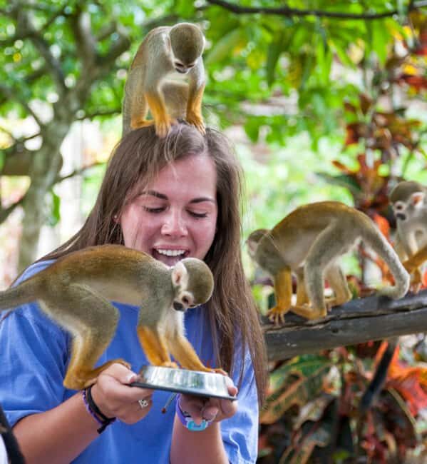 Samaná: Monkeyland and Open-Air Safari Truck Tour - Detailed Breakdown of the Experience