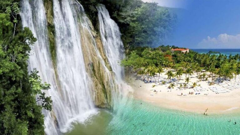 Samana Whale watching and Bacardi Island from Punta Cana - Transportation, Timing, and Group Size
