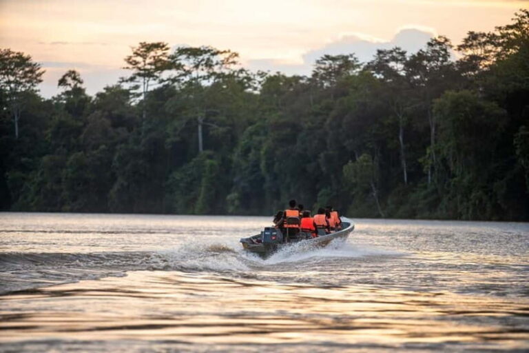 Sandakan: Kinabatangan River Wildlife Cruise with Lunch - Practical Details and Tips